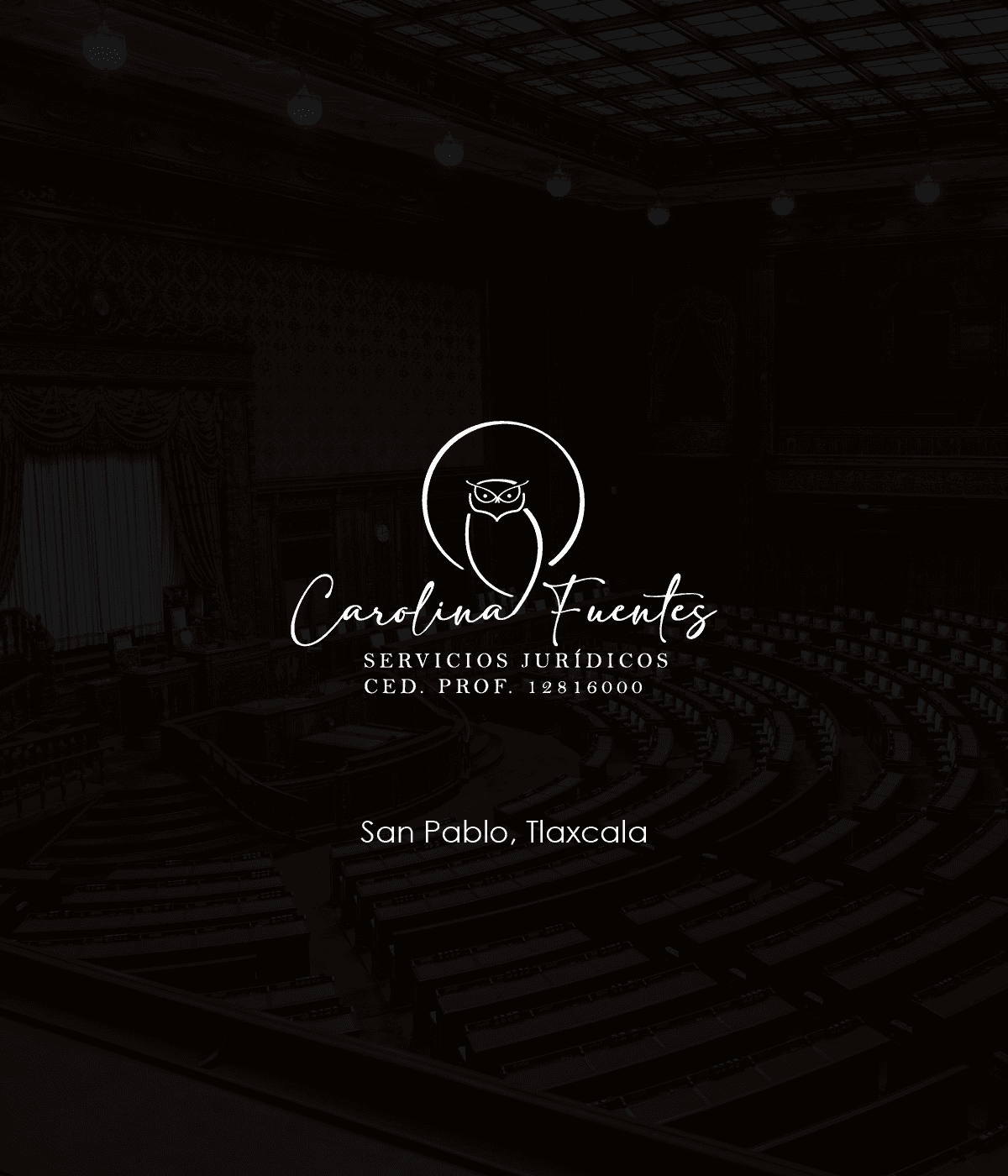 Proyecto de identidad corporativa 7