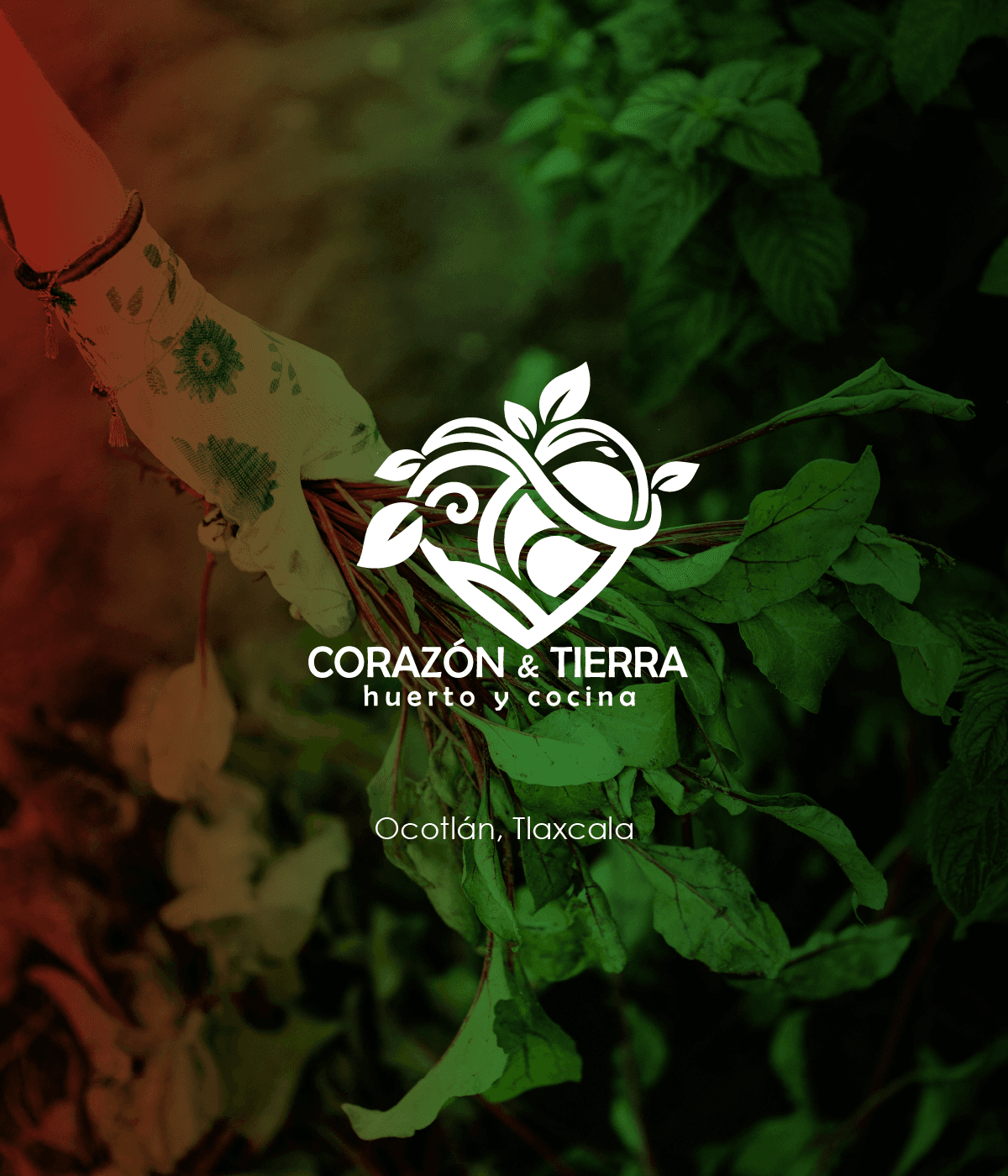 Proyecto de identidad corporativa 12