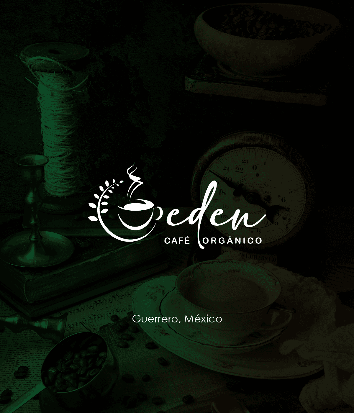 Proyecto de identidad corporativa 15