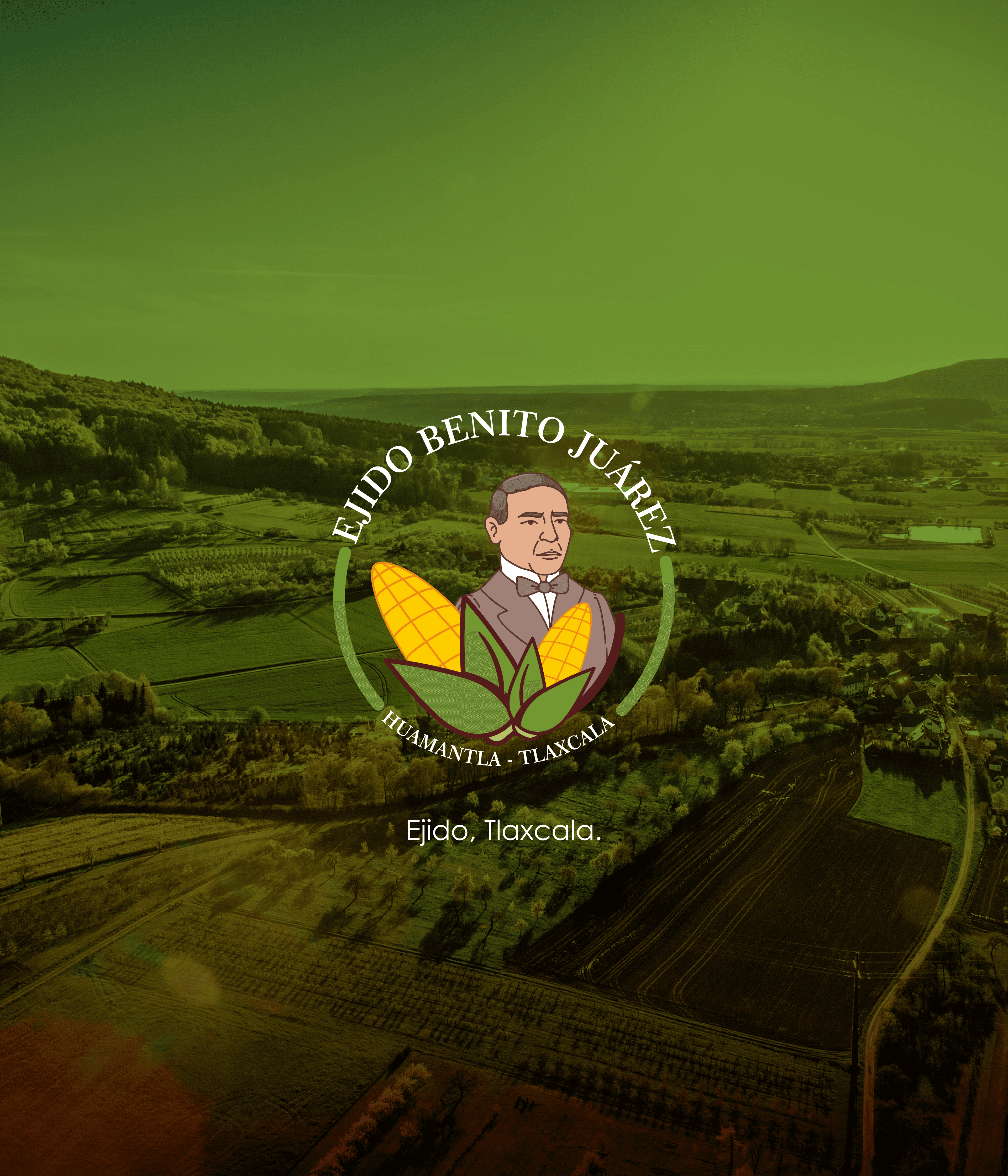 Proyecto de social media manager 14