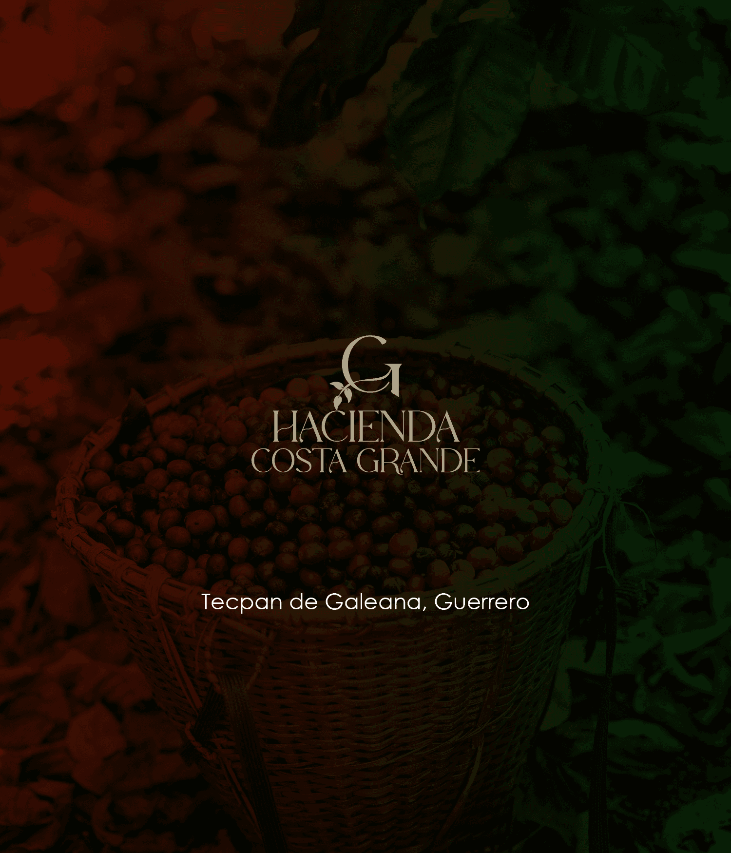 Proyecto de identidad corporativa 20