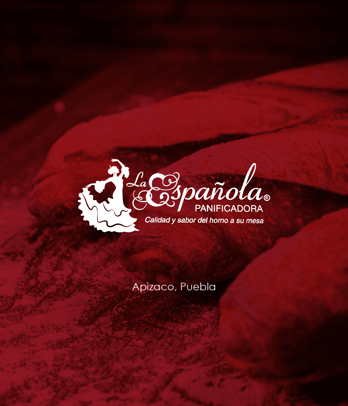 Proyecto de identidad corporativa 22