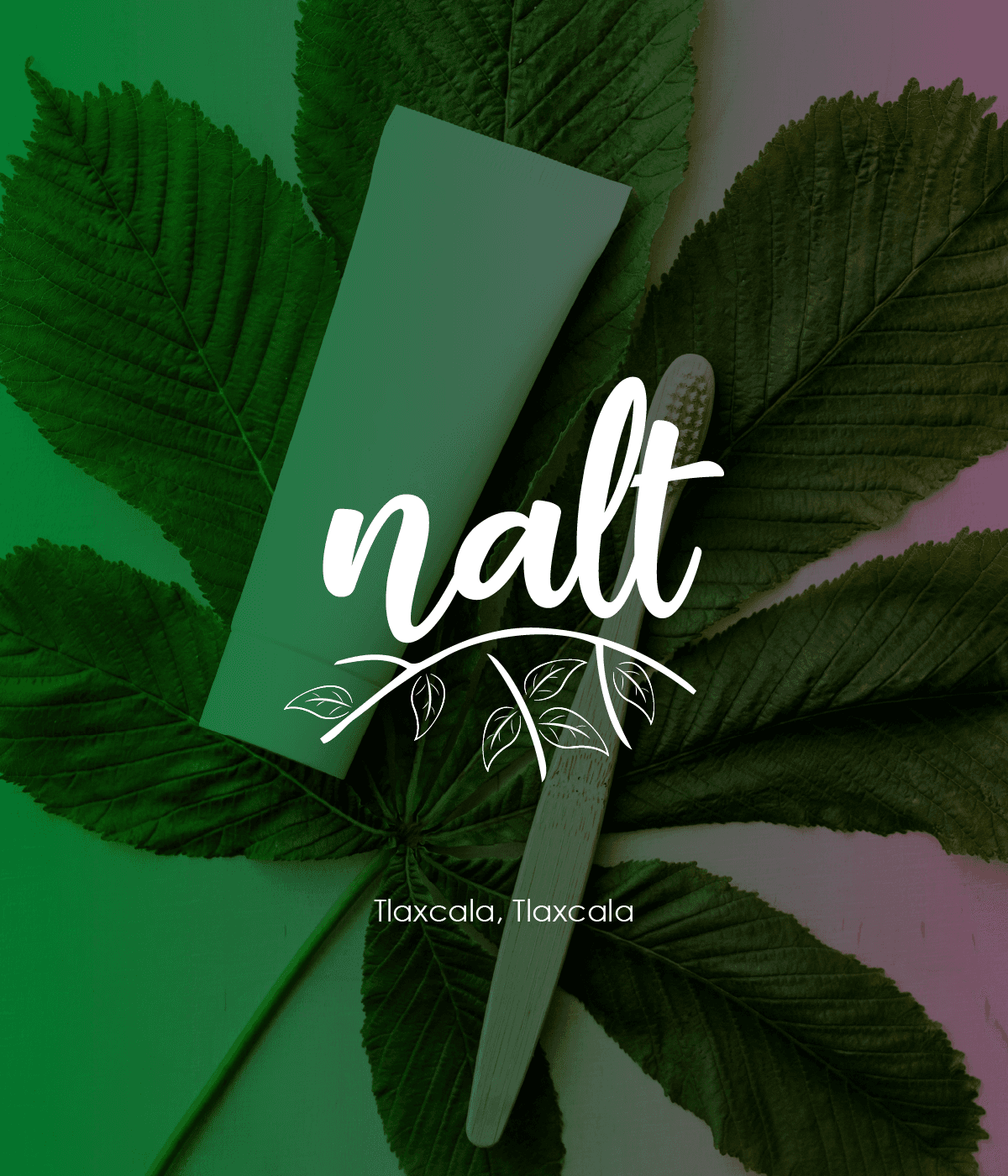 Proyecto de identidad corporativa 31